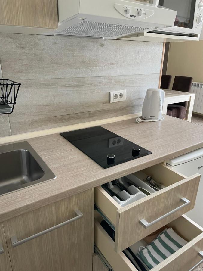 Vila Lucky Kop & Restoran Копаоник Экстерьер фото